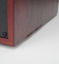 Swan D300 - aktiver Bluetooth-Regallautsprecher, Paar | Auspackware, siehe Fotos