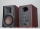 Swan D300 - aktiver Bluetooth-Regallautsprecher, Paar | Auspackware, siehe Fotos