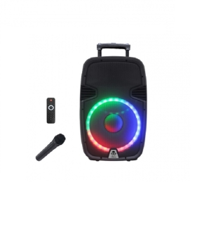 iDance Groove 1000 - Aktiv-Trolley-Bluetooth-Latusprecher | Aussteller, sehr gut