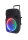 iDance Groove 1000 - Aktiv-Trolley-Bluetooth-Latusprecher | Aussteller, sehr gut
